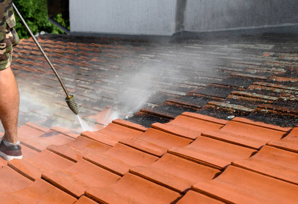 Best Roof Power Washing Services  in Carney, MD