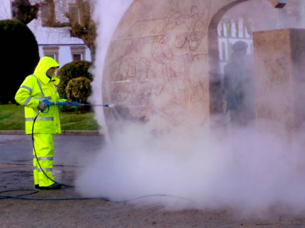 Best Pressure Washing Driveway  in Carney, MD